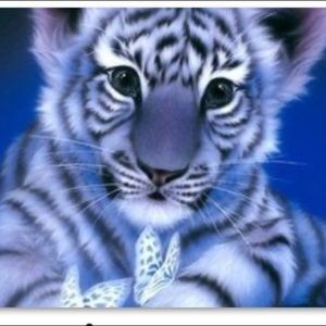 Baby tigers Diamond painting